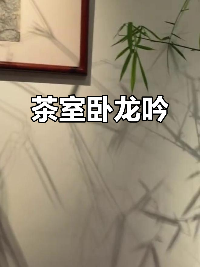 茶室禅意与古琴共鸣,偷得浮生半日闲
