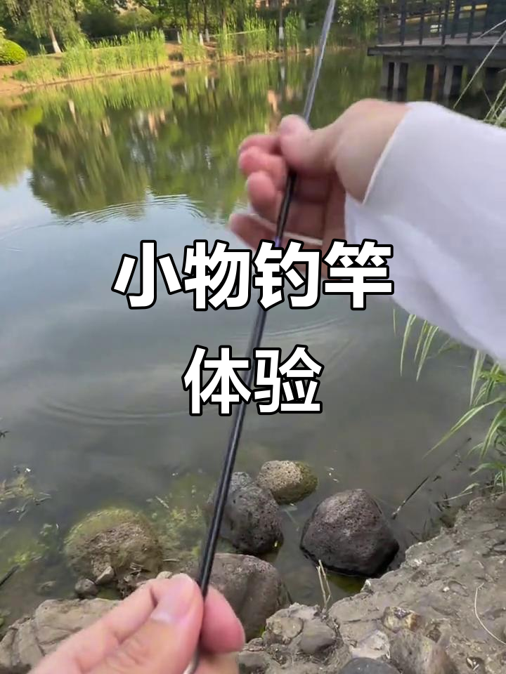 轻巧小物钓竿,轻松捕捉美丽鳑鲏