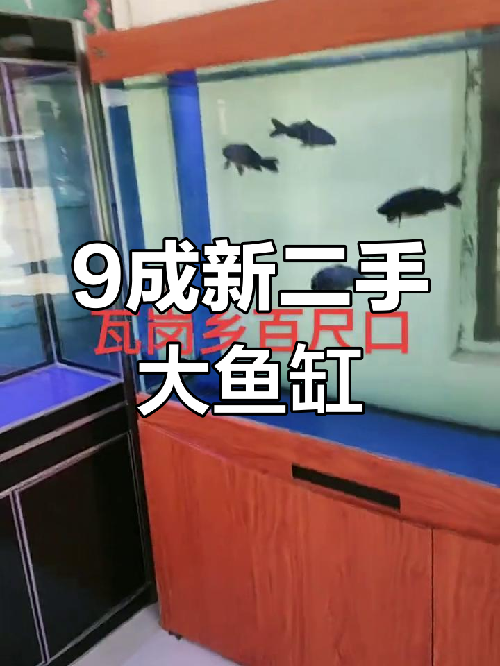二手大鱼缸,九成新超值福利