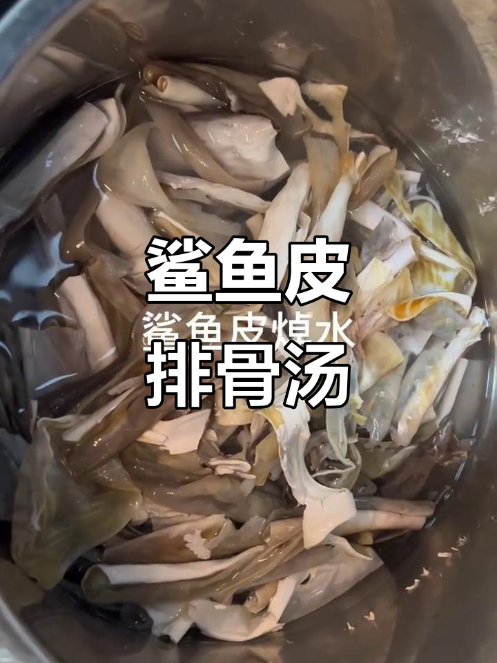 鲨鱼皮排骨汤,美容养颜的秘密武器