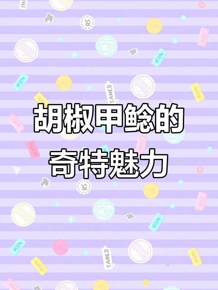 花椒鼠鱼:鲶鱼科怪异观赏鱼,温和群居习性揭秘