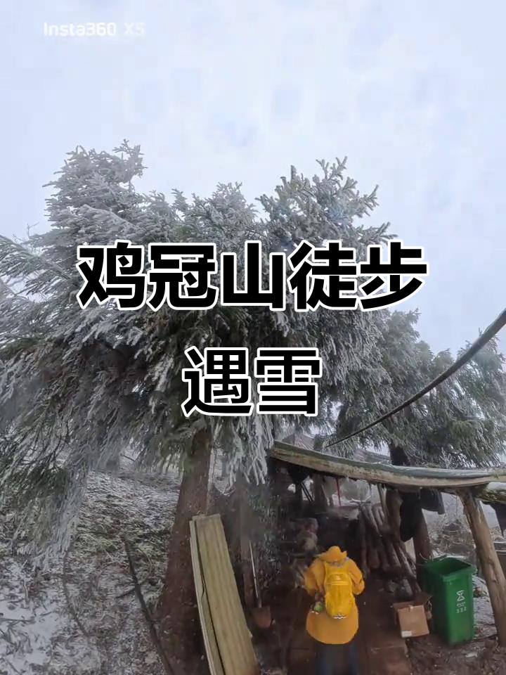 鸡冠山琉璃坝徒步,雪中漫步感受自然与健康的完美结合