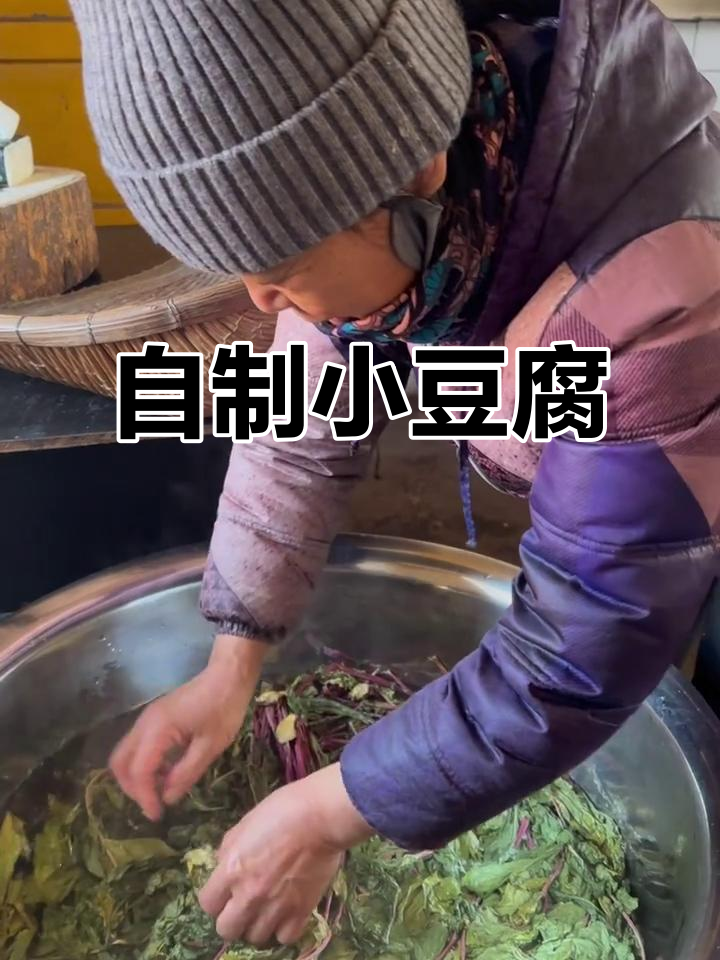 自己种黄豆,做小豆腐更香了!