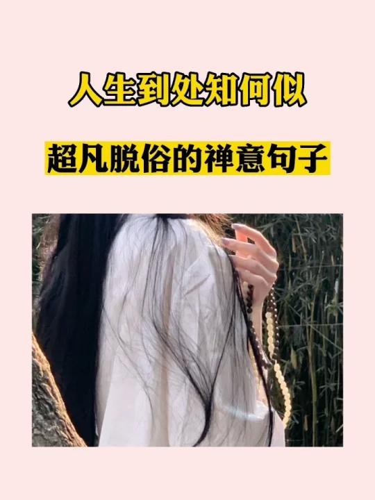 “明镜亦非台”,极具意境的禅意文案合集 