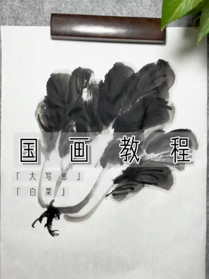 国画教程·大写意 水墨写意白菜