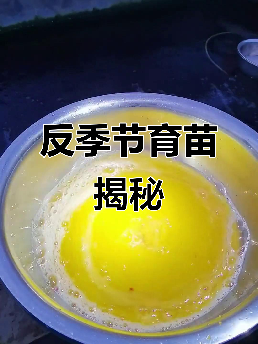 高原鱼逆季养殖,解答疑问,共同探讨!