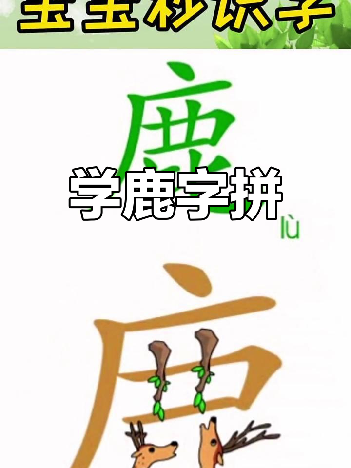 梅花鹿的美丽鹿角,学会“鹿”字拼音轻松记