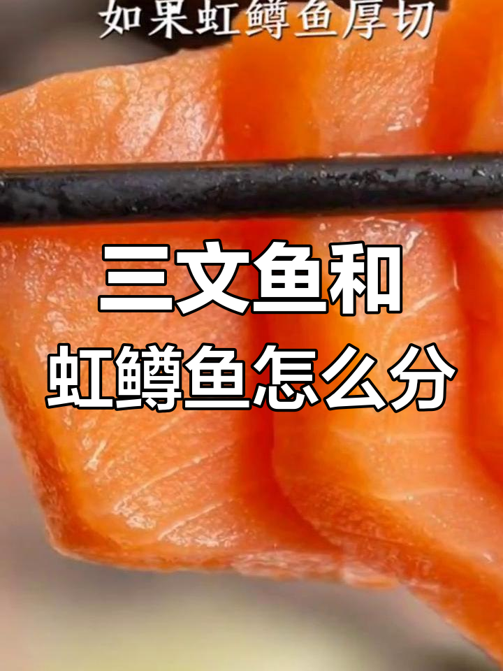 三文鱼与红鳟鱼的辨别技巧,教你如何区分真假