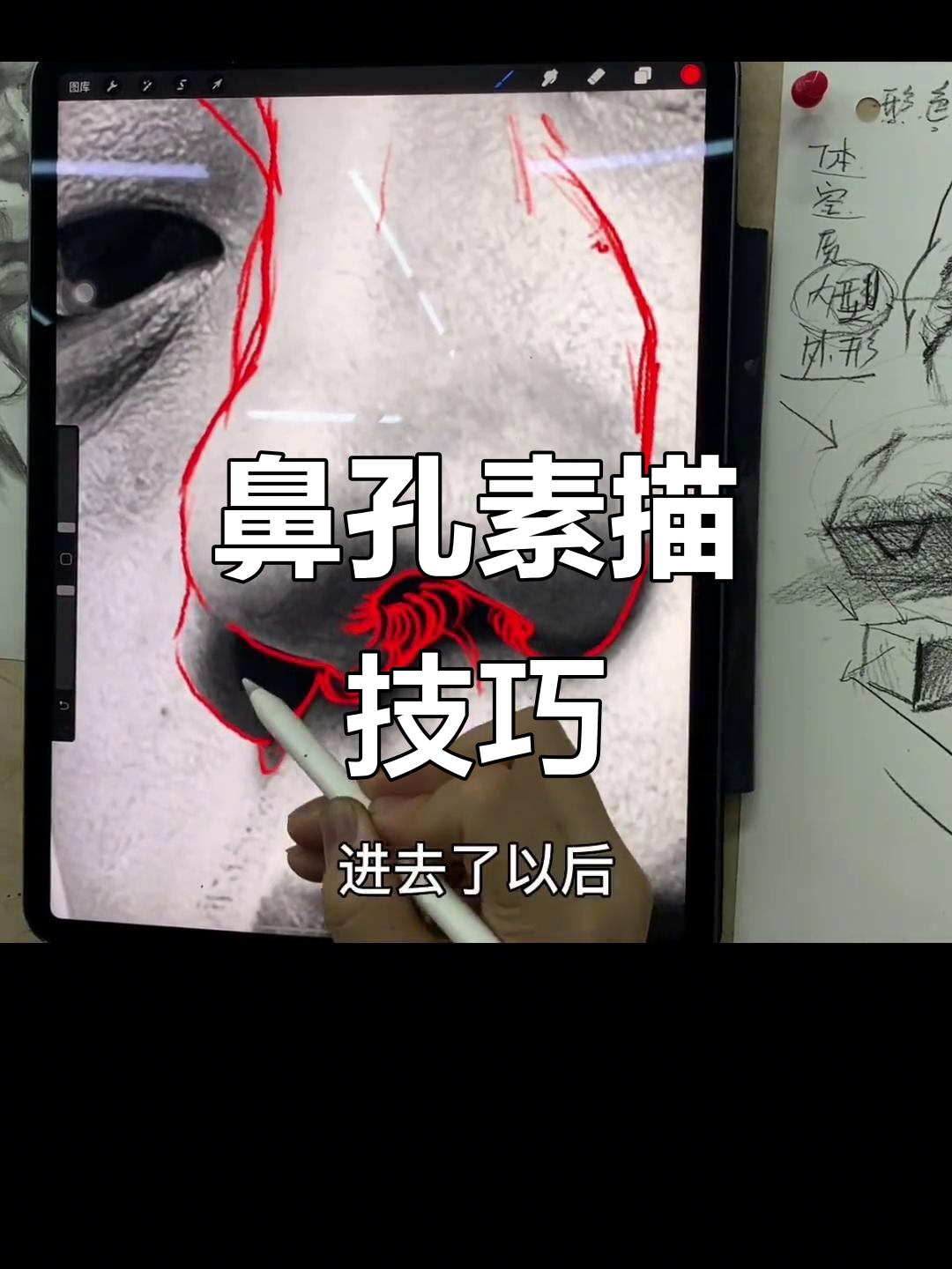 素描鼻孔不是随便涂黑,结构解析即将揭秘!