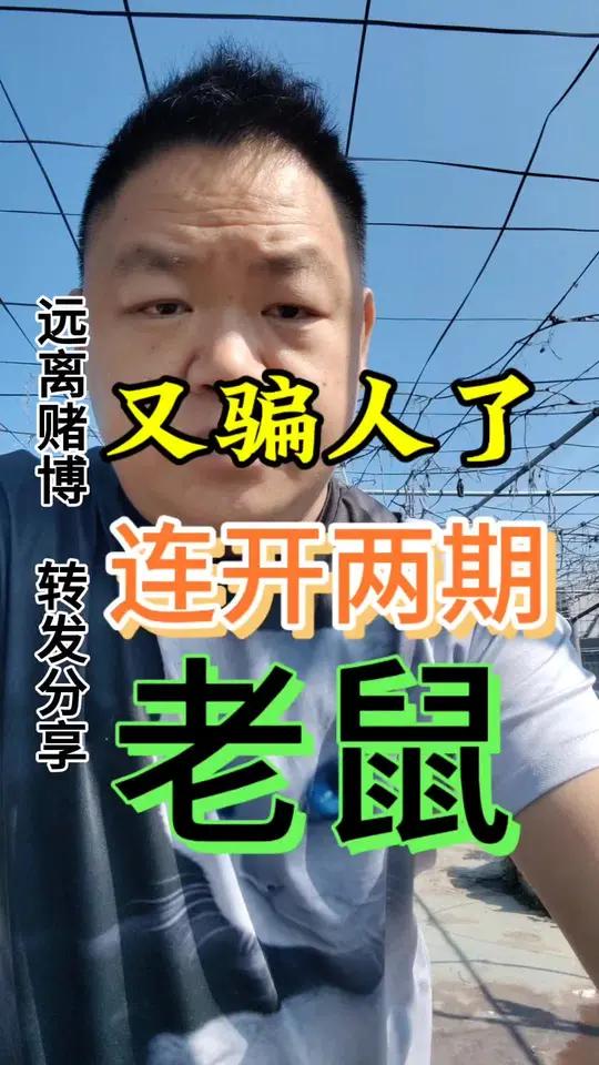 澳门六合彩连开两期老鼠,澳门六合彩就是一个真正的杀猪盘