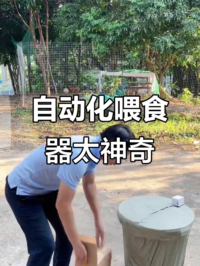 自动喂料机让杏花鸡不再挨饿,农家小院更轻松