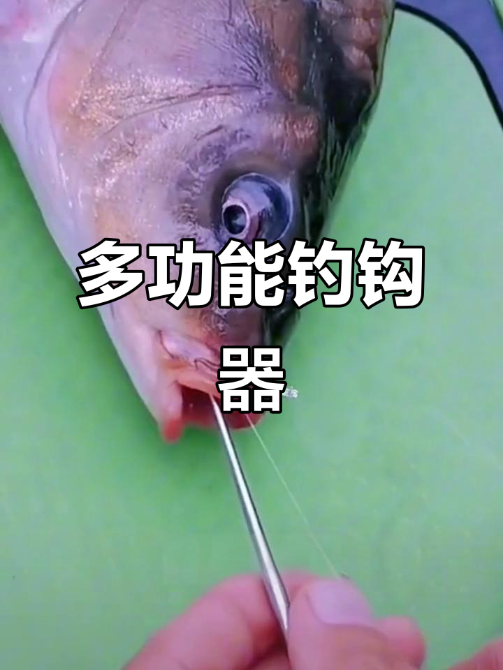 钓鱼取钩神器,轻松解鱼不费力