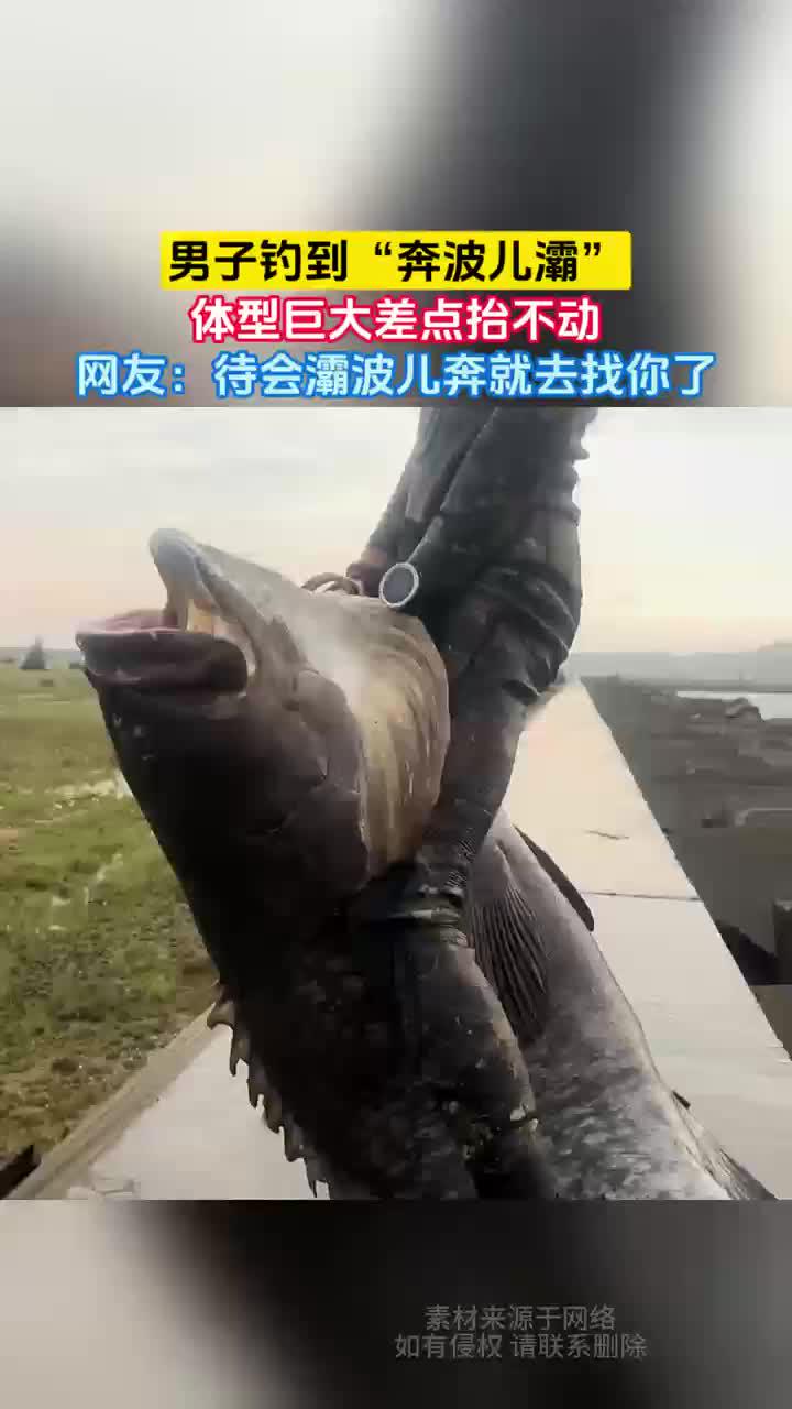 钓的是霸波儿奔还是奔波儿灞