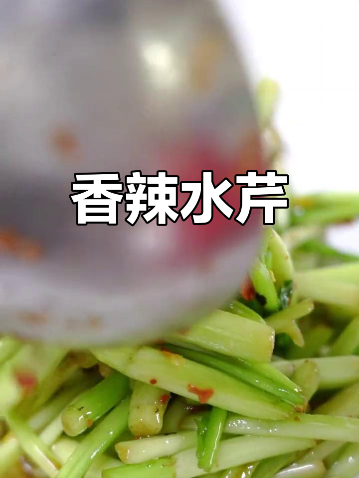 水芹菜清香扑鼻,搭配豆豉辣椒炒制,味道独特又开胃