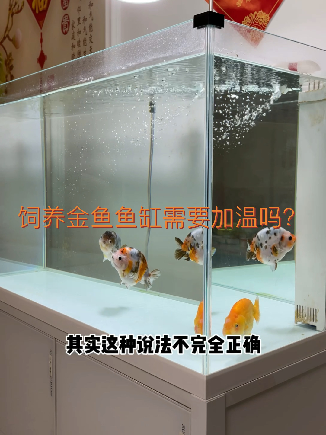 家庭饲养金鱼需要给水加温吗?
