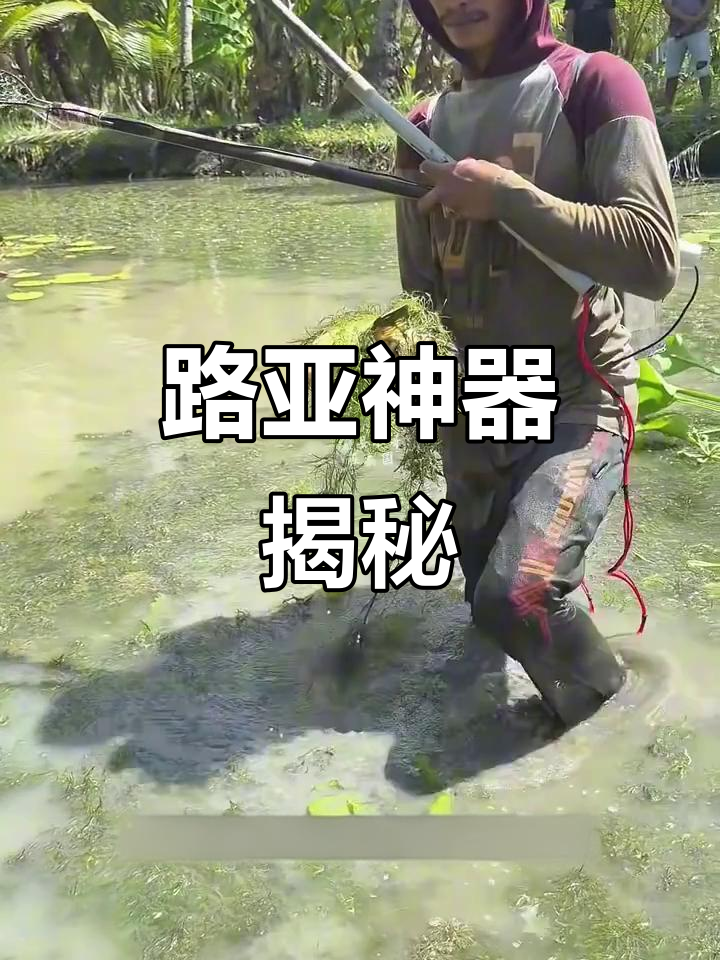 新能源路亚竿,轻松捕大鱼!但国内禁用此法