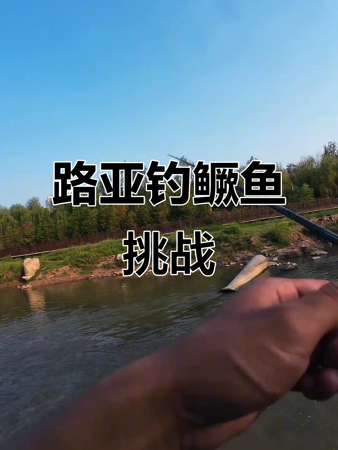 钓鱼高手挑战急流,路亚鳜鱼猛攻来袭