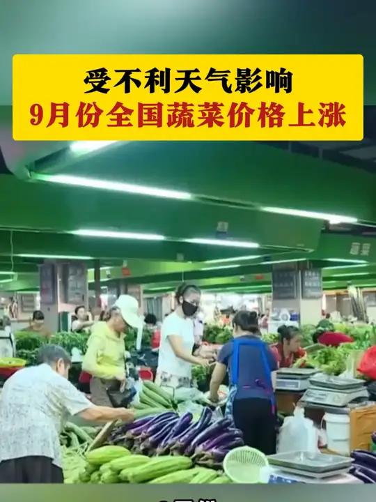 农业农村部:受不利天气影响 9月份全国蔬菜价格上涨 菜价 蔬菜 菜市场 民生 物价