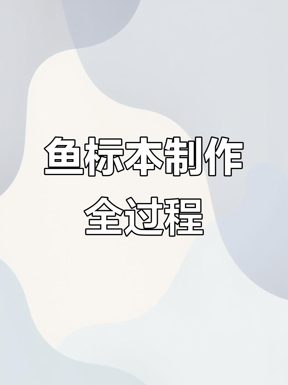 鱼标本制作大揭秘:从解剖到成品的惊险过程