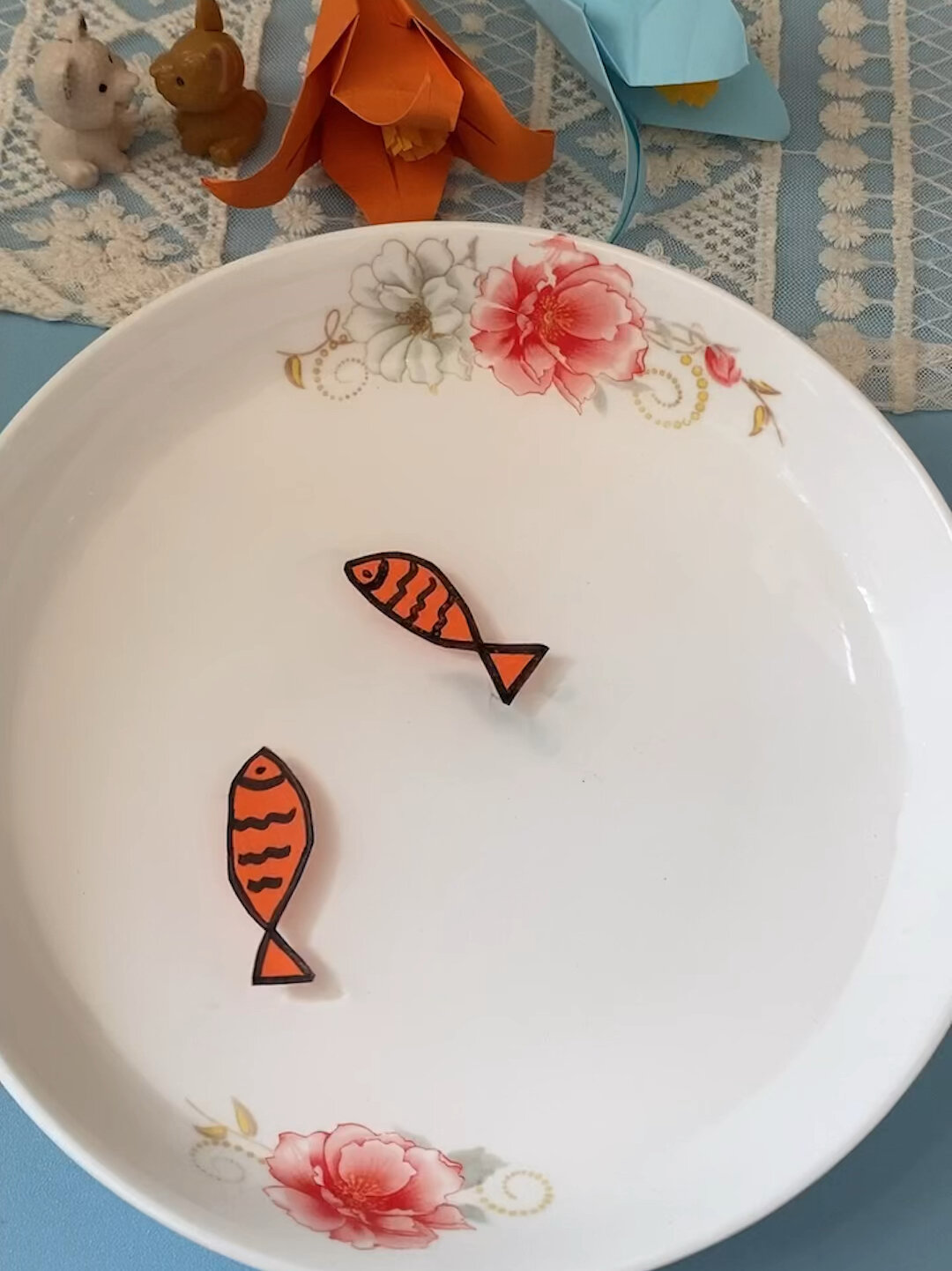 科学小实验|游动的小鱼