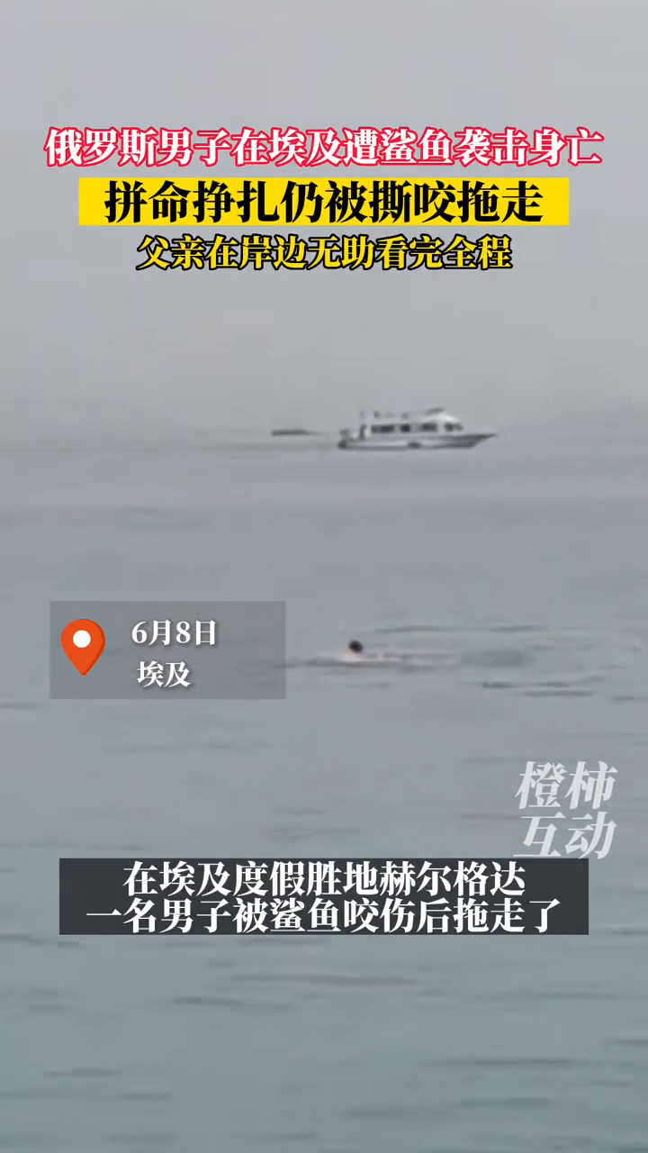 俄罗斯一男子在埃及被鲨鱼袭击身亡