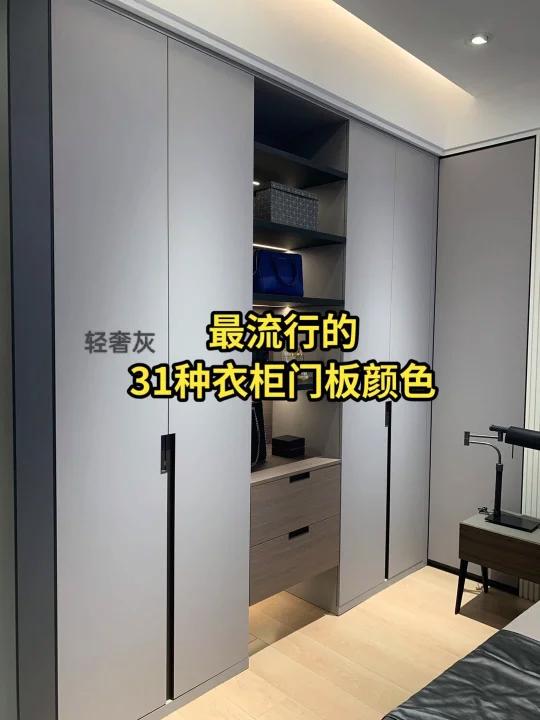 最流行的衣柜柜门31种颜色搭配效果分享