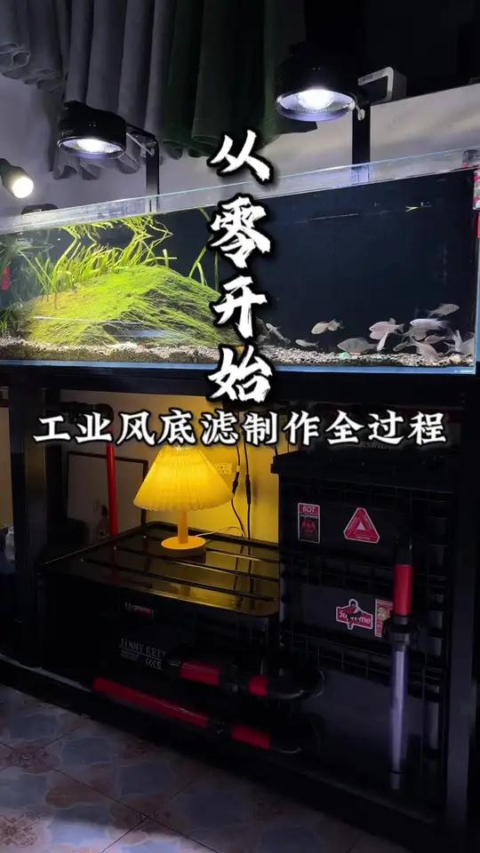 两分钟沉浸式观看!纯手工打造一米二溪流缸工业风底滤!自制鱼缸过滤 周转箱底滤 养鱼日记 骨