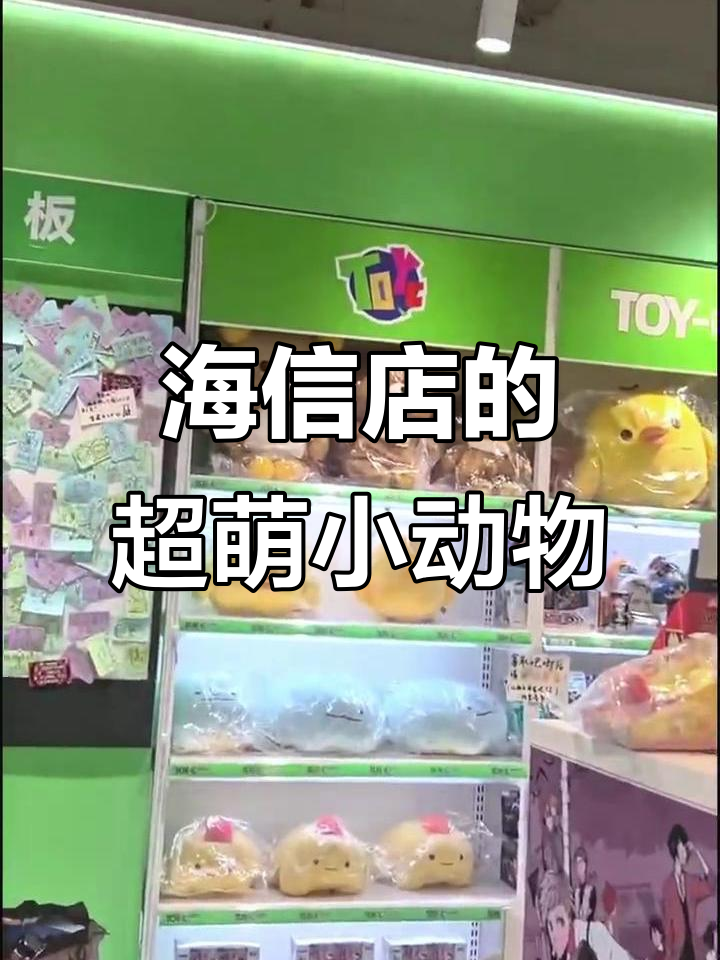 长沙海信店萌物大集合,熊宝宝们太可爱了!