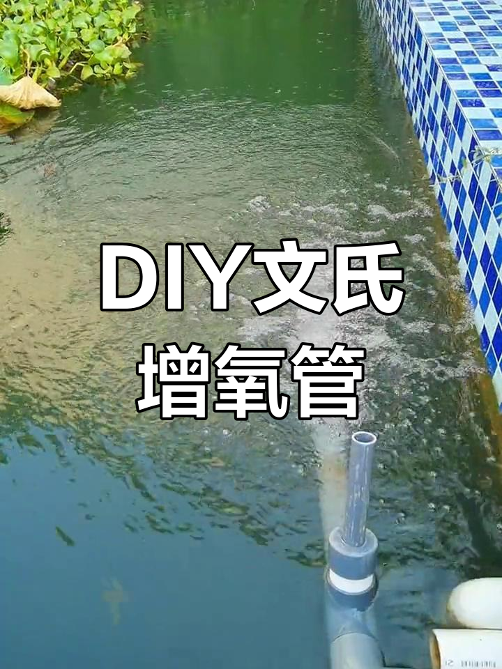 自制文氏增氧管,轻松解决鱼池缺氧问题