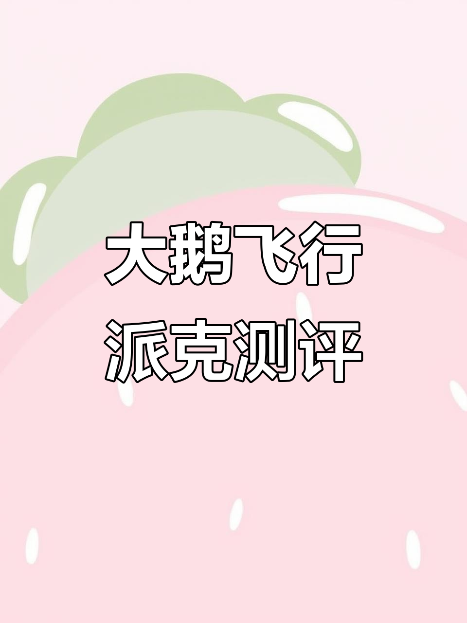 大鹅飞行派克服石墨灰细节评测，防水面料与八零白鸭绒填充解析