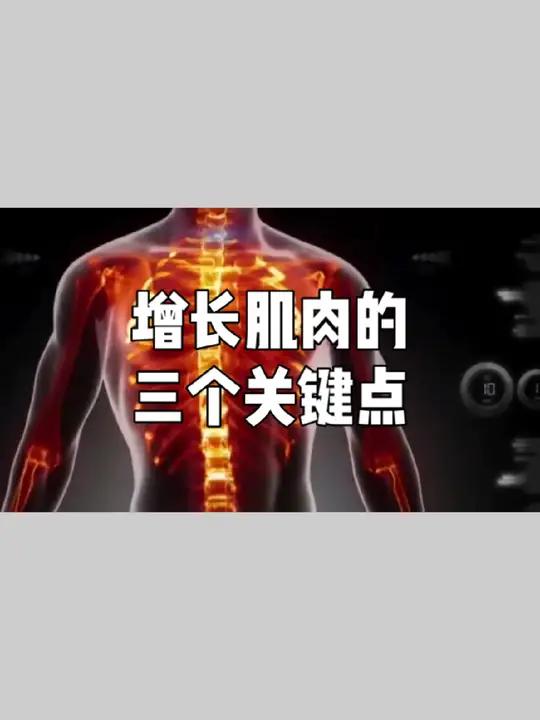 增长肌肉的三个关键点,训练、饮食和睡眠