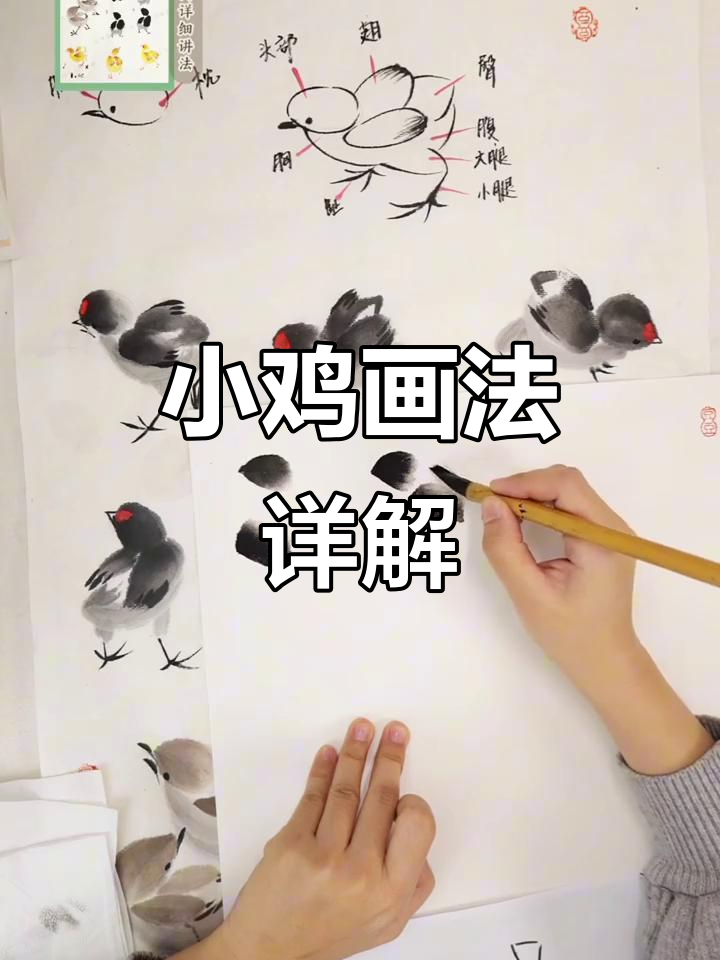 从基础到进阶，小鸡画法全解析，步骤详细，轻松掌握！