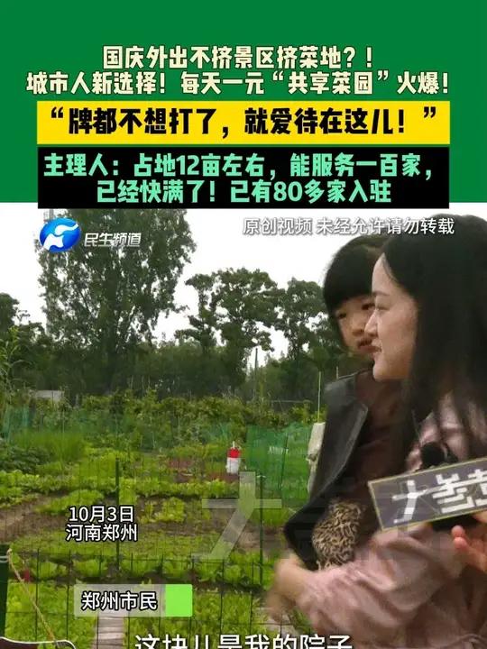 10月3日,河南郑州,国庆外出不挤景区挤菜地?!城市人新选择!每天一元“共享菜园”火爆!“