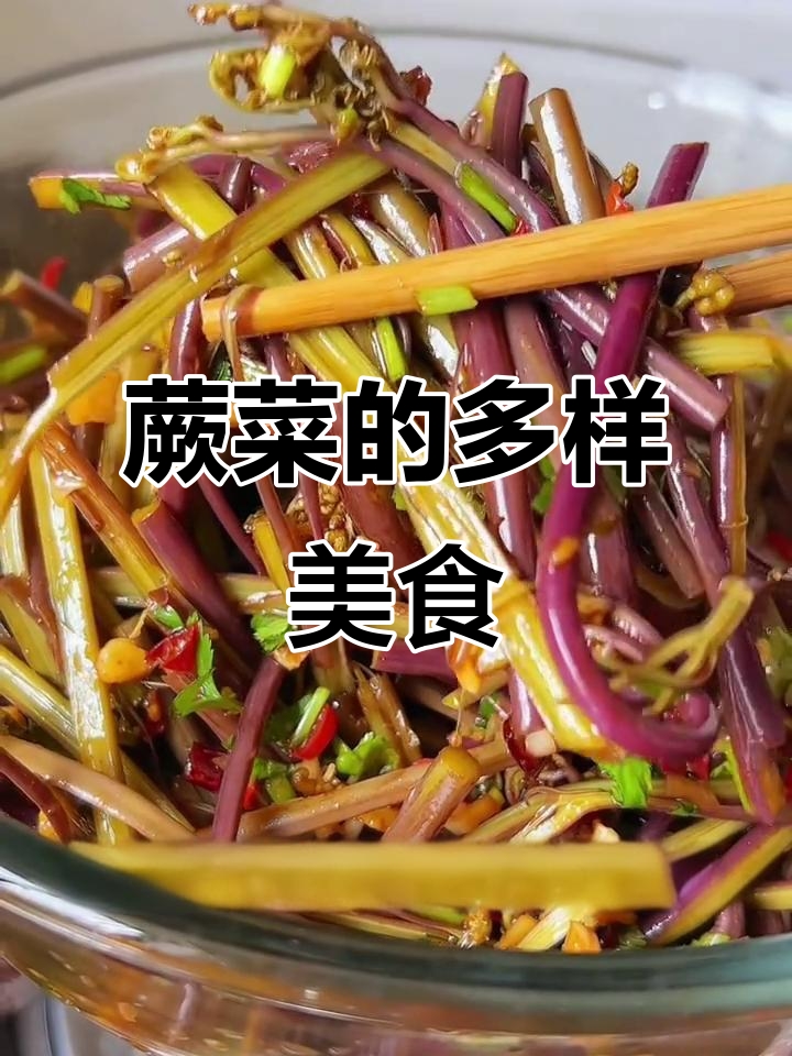 蕨菜多种吃法,炒炖煎皆宜,营养美味又独特!