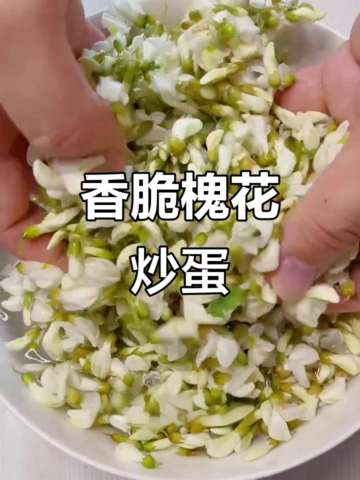 槐花炒鸡蛋,家常美味做法大揭秘!