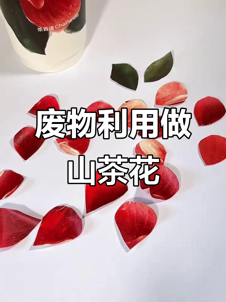 废奶茶杯变山茶花,创意手工DIY教程