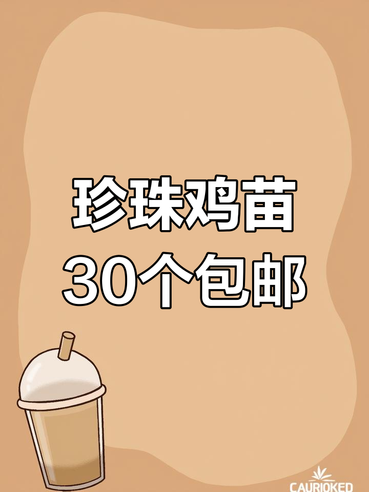 珍珠鸡苗30只包邮,九块一只