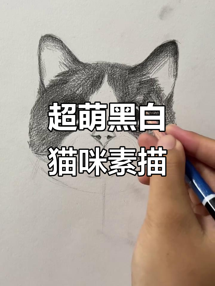 黑白奶牛猫素描,教你画出可爱真实造型