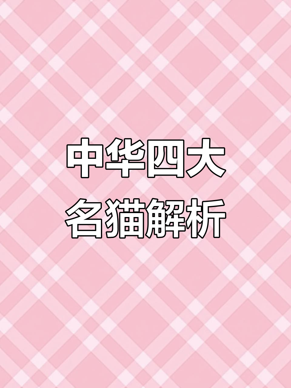 中华名猫大揭秘,看看你最喜欢哪种猫咪