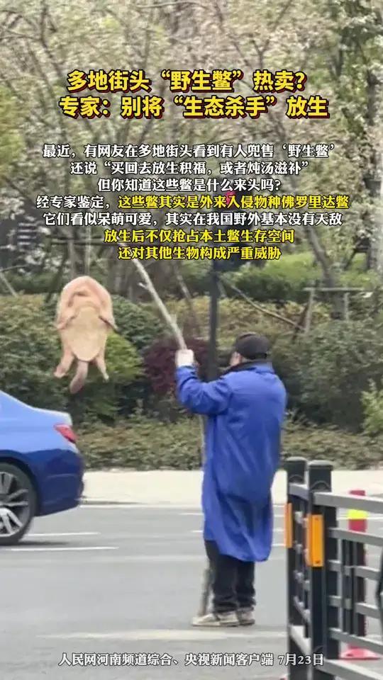 多地街头“野生鳖“热卖?专家:别将“生态杀手“放生!最近,有网友在多地街头看到有人兜售‘野