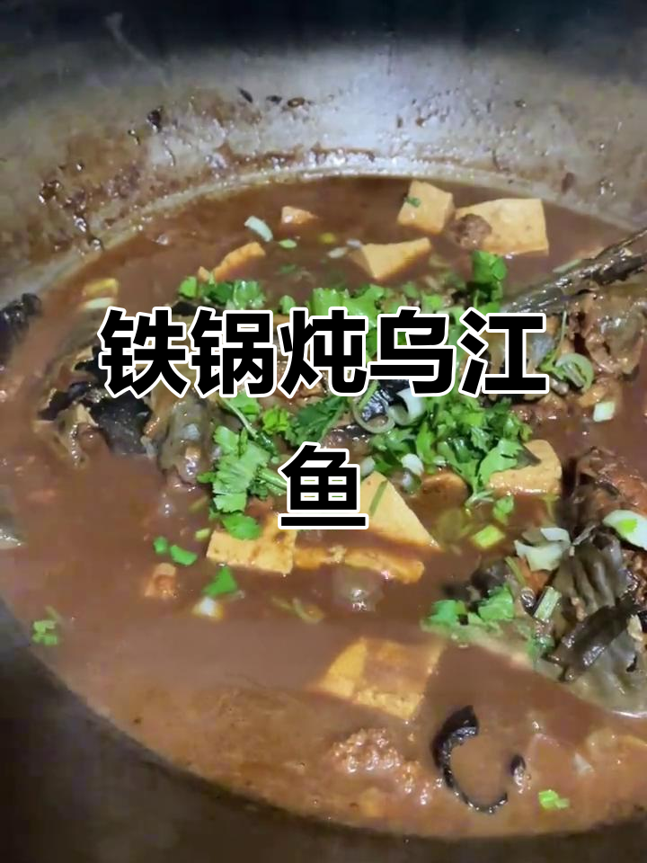 朋友送大鲶鱼,铁锅炖出美味乌江鱼