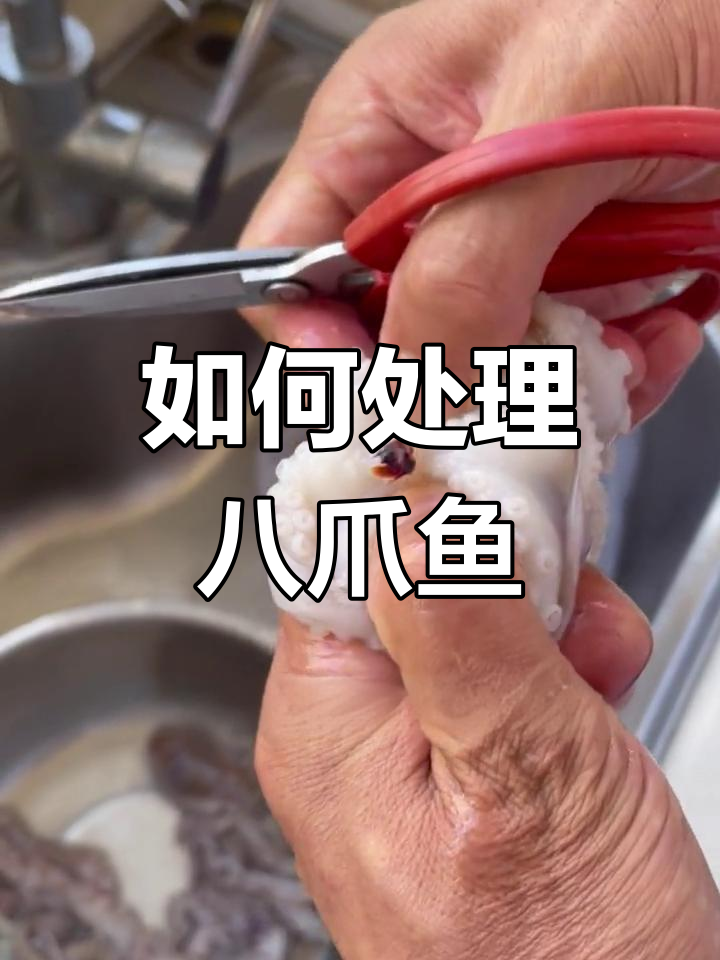 八爪鱼清洗与去腥技巧