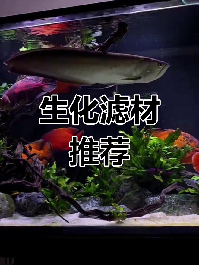 鱼缸过滤必备:陶瓷环与细菌屋