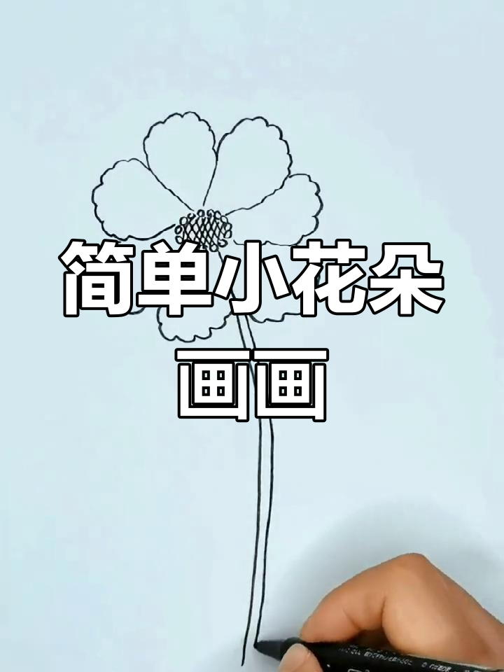 小花朵简笔画教程,轻松学会画可爱小花