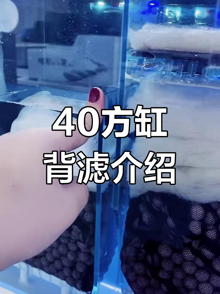 40方缸背滤系统全解析:推拉盖板、干湿分离与绿草造景