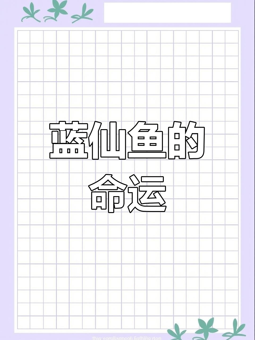 这些蓝仙鱼注定无法过冬,冬季将结束它们的生命