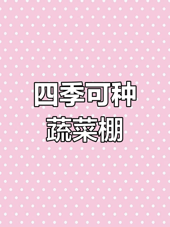 四季蔬菜大棚设计,适合全国种植需求