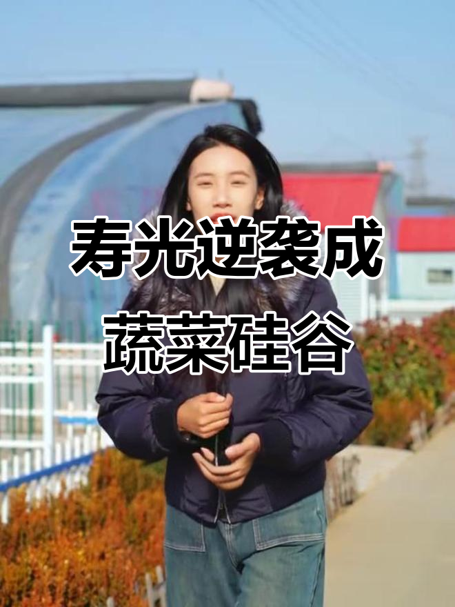 寿光农业30年:从土棚到智能大棚,蔬菜硅谷的崛起