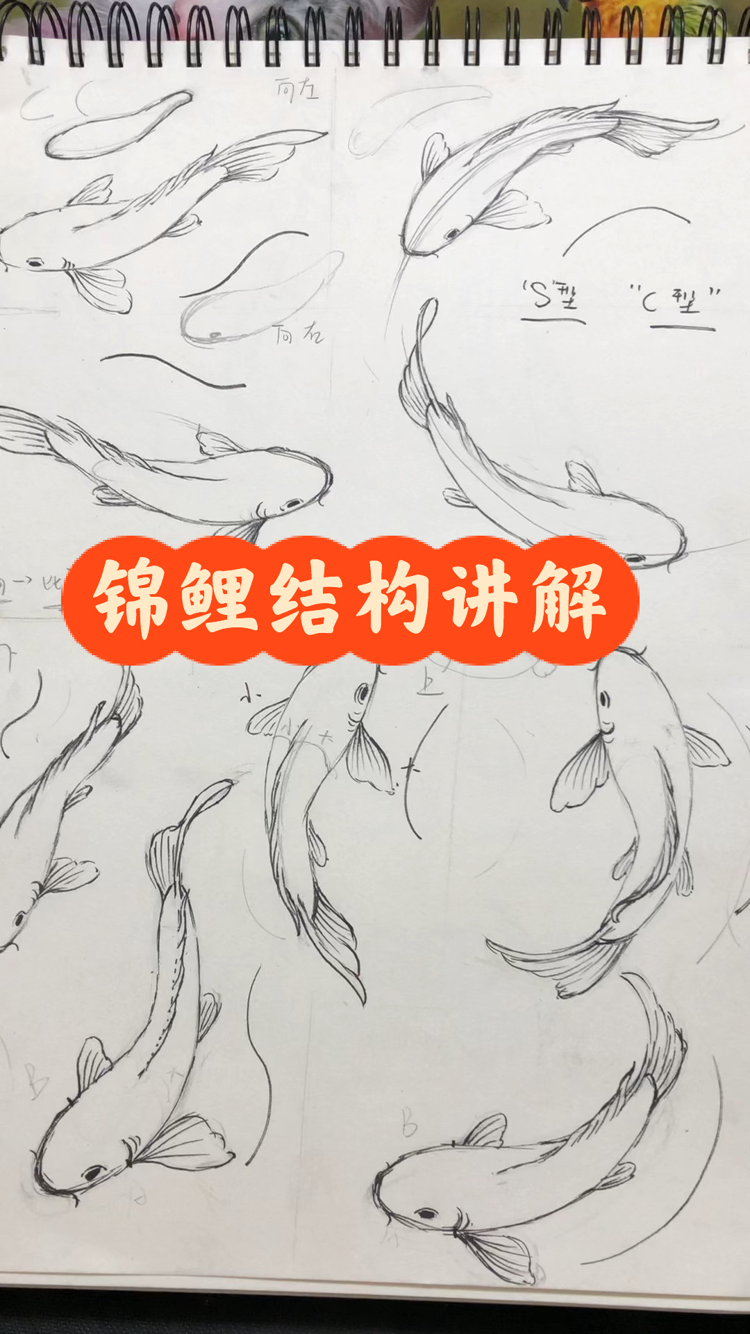 点开就会画锦鲤