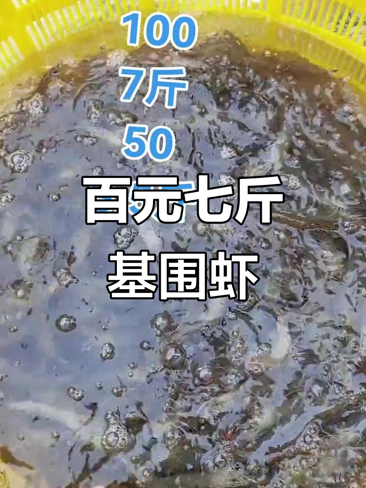 100块7斤鲜活基围虾,超值海鲜抢购!